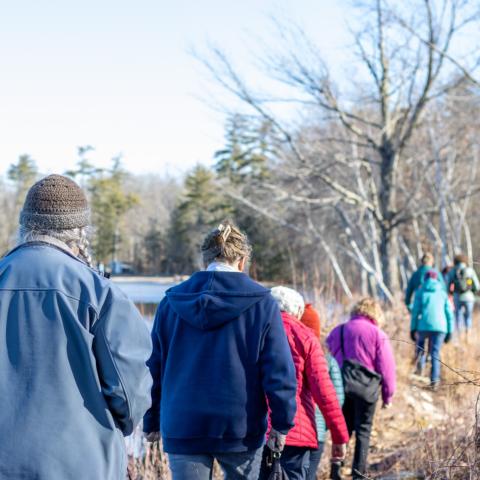 a group of women walking single file