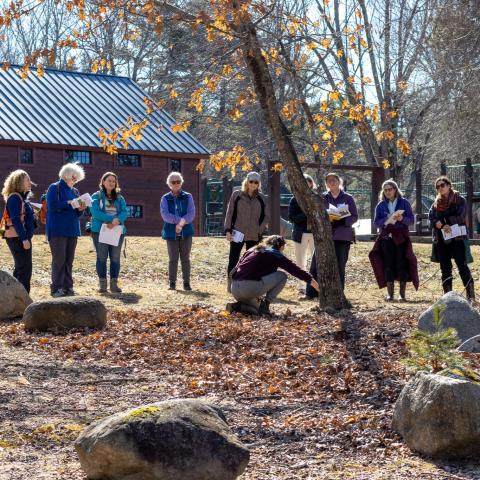 a group of women looking at a tree during a tree identification session