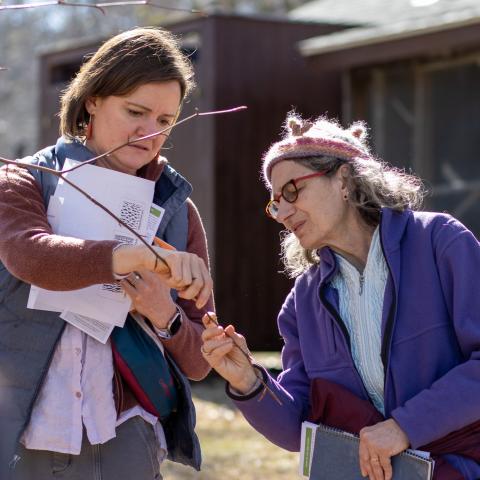 two women looking at a tree branch