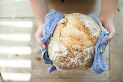 Person holding a loaf of round bread with both hands