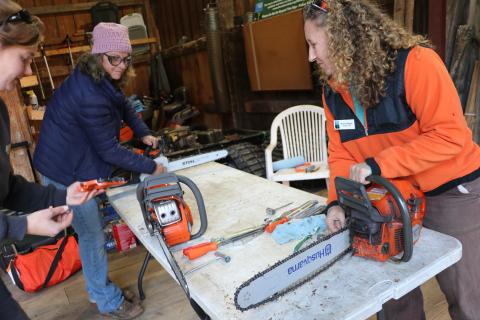 Two women examining chainsaws