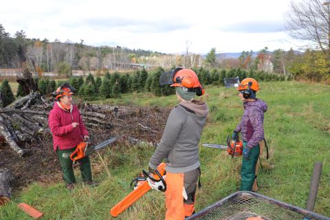 three women working with chainsaws