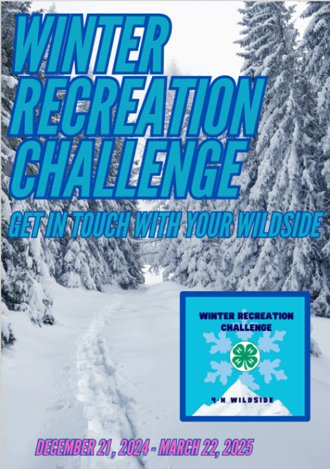 Cover of Winter Recreation Challenge