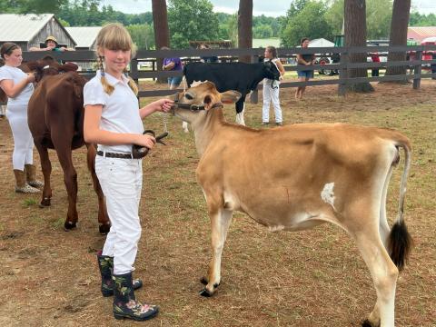 4-H Dairy Member