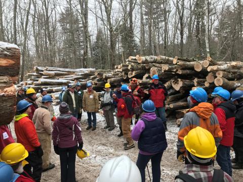 Workshop at a timber harvest