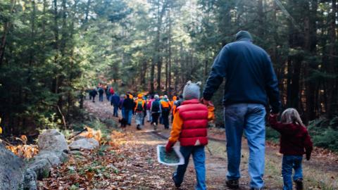 Volunteers walking through the woods