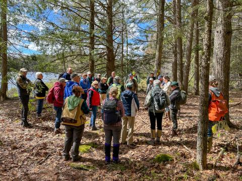 NH Coverts in the woods