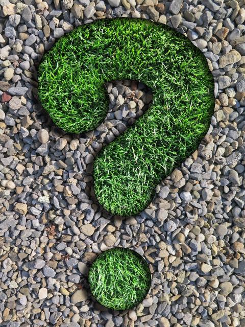 question