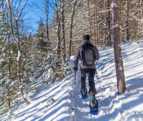 person snowshoeing in winter