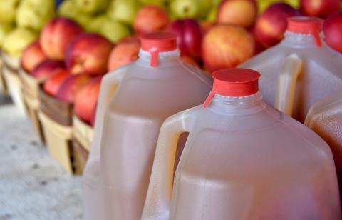 apple cider in jugs with apples at the farmers market