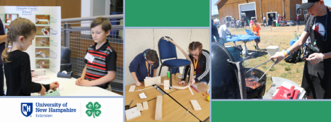 Pictures of youth in various activities and the UNH 4-H Cobrand logo
