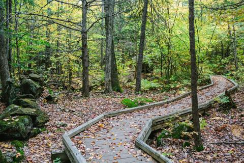 Trail at Crotched Mountain