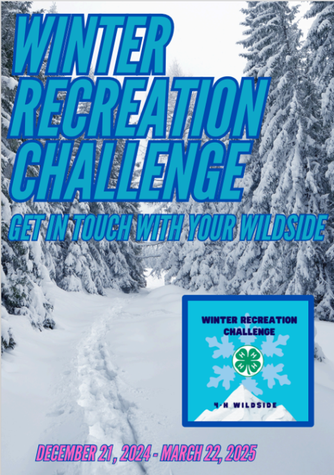 Winter Recreation Challenge