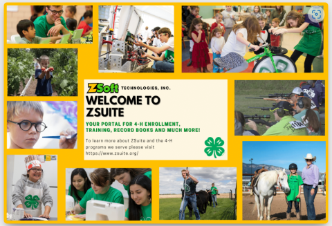 ZSuite