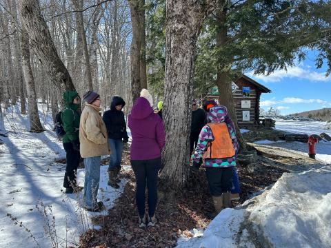 a group of women standing around a tree during the tree identification session