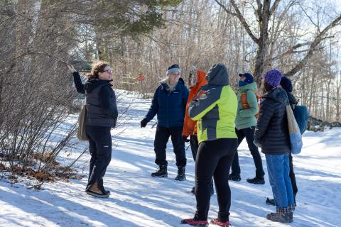 a group of 7 women looking at a tree in winter