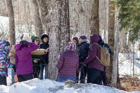 women surrounding a tree trying to identify it