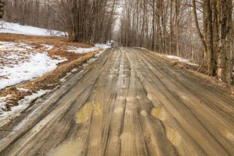 Mud rutts in a back road