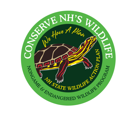 Conserve NH's Wildlife NH State Wildlife Action Plan decal illustration