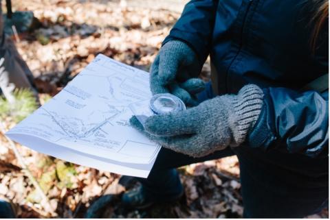 Volunteers looking at survey map