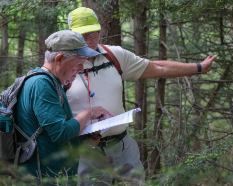 volunteers outside looking at survey