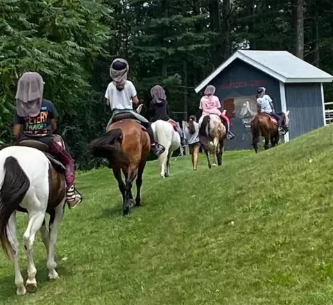 Hoofbeats