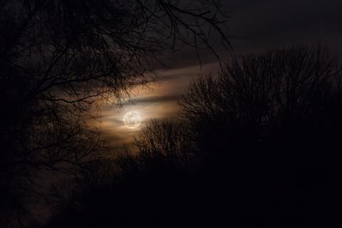 moon glow