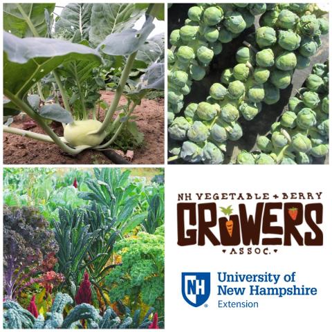 NH Vegetable and Berry Growers Association