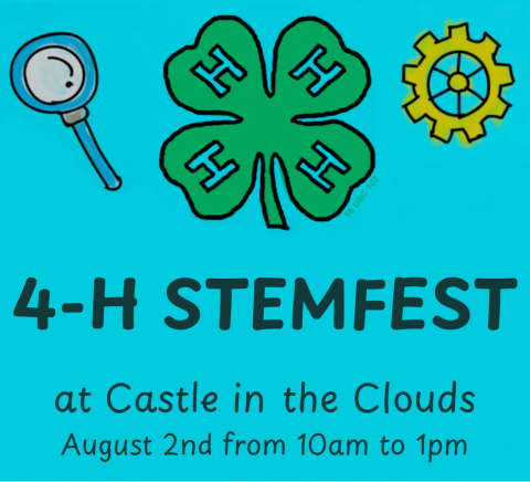 Illustration of magnifying glass, 4-H four leaf clover, and gear. Test reads 4-H STEMFEST at Castle in the Clouds, August 2nd from 10am to 1pm