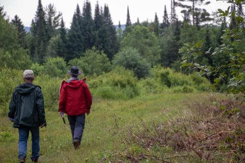Silviculture walk
