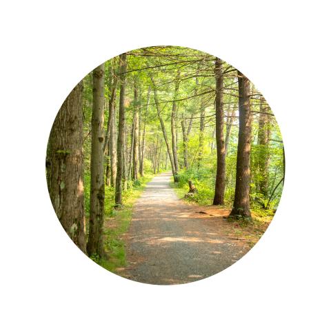 Ashuelot River Rail Trail - sunlight pours down onto a rail trail filtered through trees