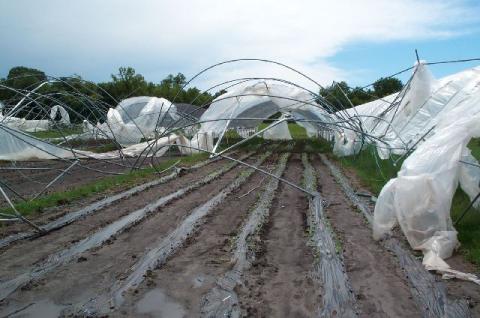 erosion of high tunnel tossed and moved by wind