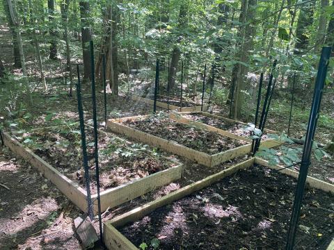 garden beds in forest
