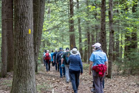 a group of 23 volunteers walking in a line in the woods