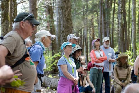 A group of 23 volunteers standing in the woods
