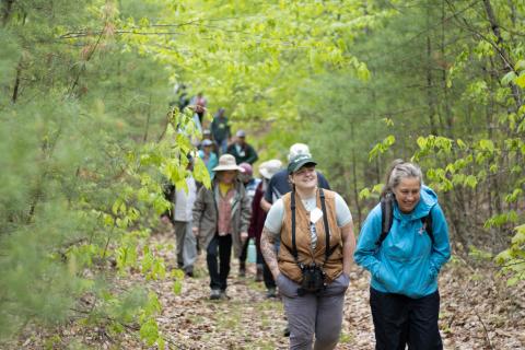 A group of 23 volunteers walking in a line while in the woods