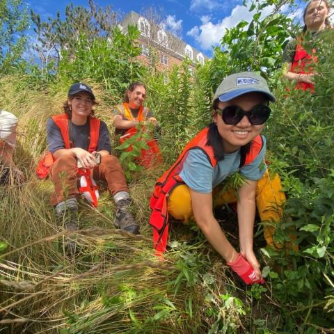 students getting data in a woody field