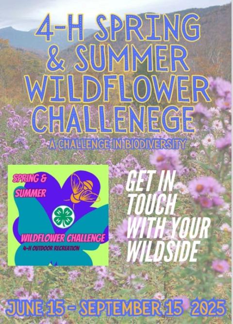 Wildflower challenge