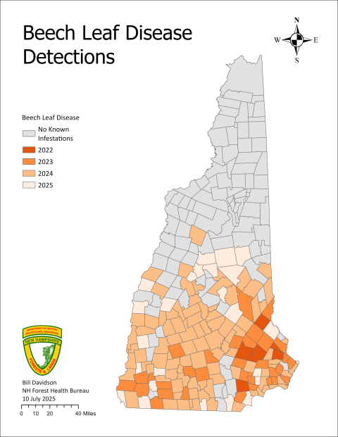 Map indicating NH locations of Beech Leaf Disease detection. Map by NH Bugs