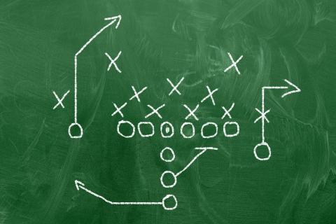 Gridiron play plan to relate to game plan in biocontrols.