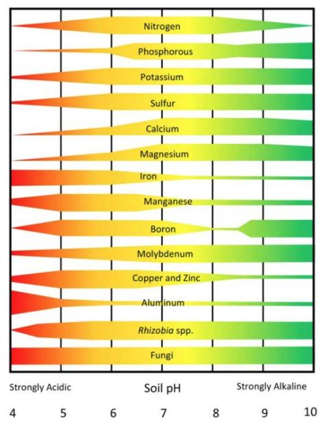 graph marking effects of varying pH on nutrients and microorganisms