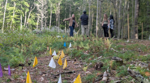 marker flags with people in the background
