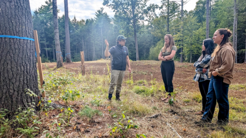 person discussion research on a tree in the forest with three students