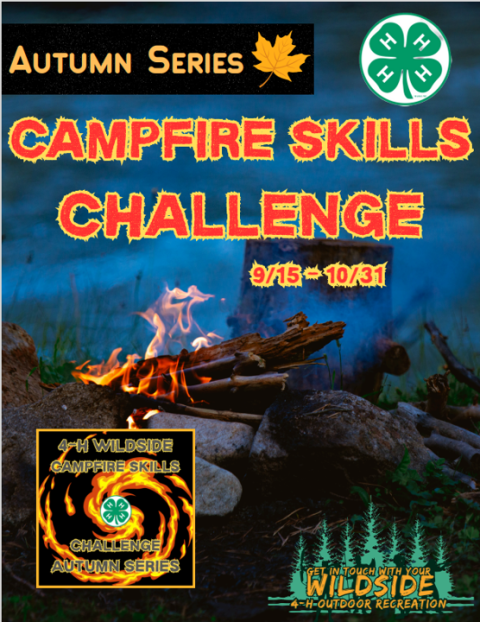 Campfire