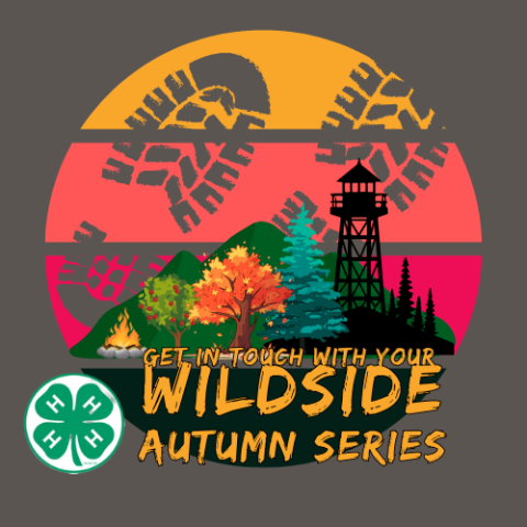 Autumn Patch