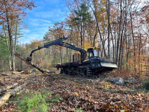 A caterpillar machine working in the forest.