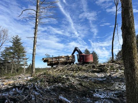 Timber Harvest and machinery.