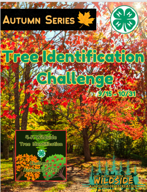 Tree ID