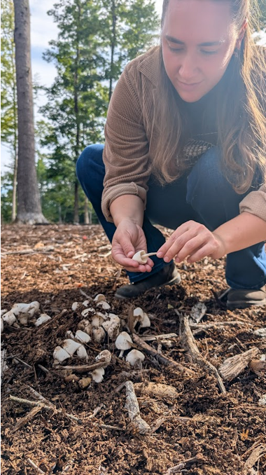 researcher looking at fungus in the woods