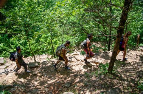 People hiking in the woods